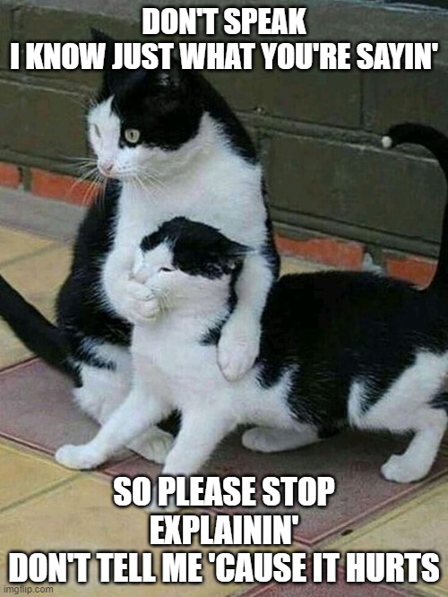 Dont Speak Cats | DON'T SPEAK
I KNOW JUST WHAT YOU'RE SAYIN'; SO PLEASE STOP EXPLAININ'
DON'T TELL ME 'CAUSE IT HURTS | image tagged in cats,dogs an cats,cute cat,pets,feline,funny memes | made w/ Imgflip meme maker