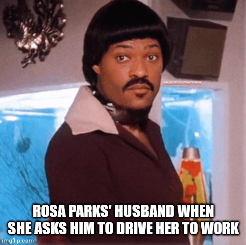 Take the Bus | ROSA PARKS' HUSBAND WHEN SHE ASKS HIM TO DRIVE HER TO WORK | image tagged in funny memes,ike turner,black history month,husband,no respect,hilarious memes | made w/ Imgflip meme maker