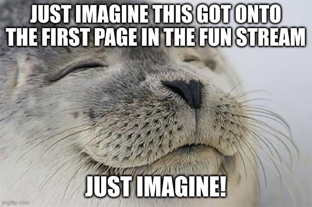 thats your queue imgflip moderators | JUST IMAGINE THIS GOT ONTO THE FIRST PAGE IN THE FUN STREAM; JUST IMAGINE! | image tagged in memes,satisfied seal | made w/ Imgflip meme maker