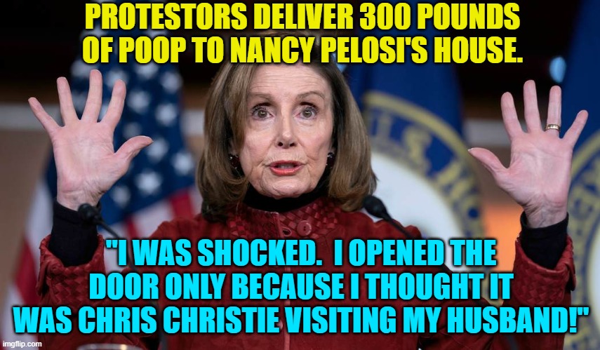 Yeah, I'm ashamed of myself for this meme. | PROTESTORS DELIVER 300 POUNDS OF POOP TO NANCY PELOSI'S HOUSE. "I WAS SHOCKED.  I OPENED THE DOOR ONLY BECAUSE I THOUGHT IT WAS CHRIS CHRISTIE VISITING MY HUSBAND!" | image tagged in yep | made w/ Imgflip meme maker