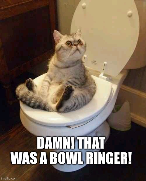 Toilet fart | DAMN! THAT WAS A BOWL RINGER! | image tagged in toilet cat,bowl,farts,good vibes,nothing to see here | made w/ Imgflip meme maker