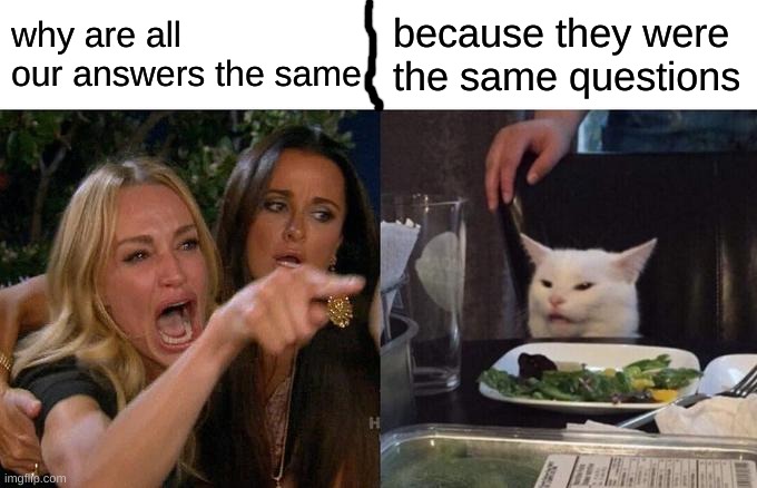w | why are all our answers the same; because they were the same questions | image tagged in memes,woman yelling at cat | made w/ Imgflip meme maker
