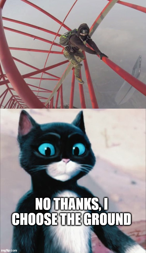 My fear of heights | NO THANKS, I CHOOSE THE GROUND | image tagged in kitty,lattice climbing,puss in boots,meme,memes,daredevil | made w/ Imgflip meme maker