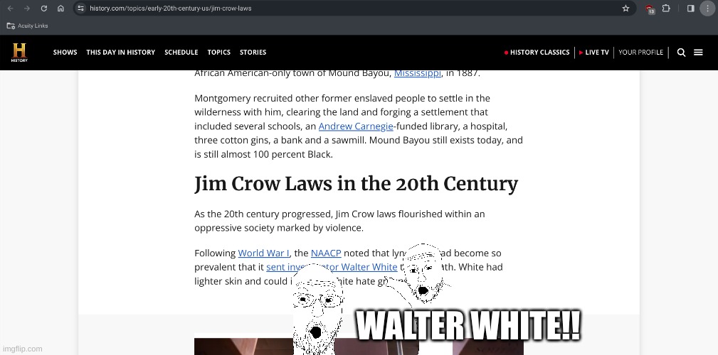 Walter White! | WALTER WHITE!! | image tagged in jim crow law,ww1,blm,walter white | made w/ Imgflip meme maker