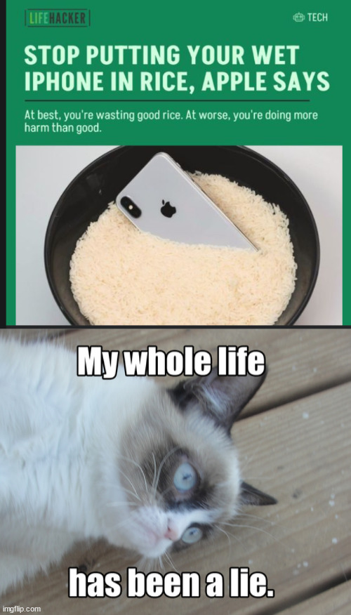 Rice myth | image tagged in my whole life has been a lie,iphone,myth,tech | made w/ Imgflip meme maker