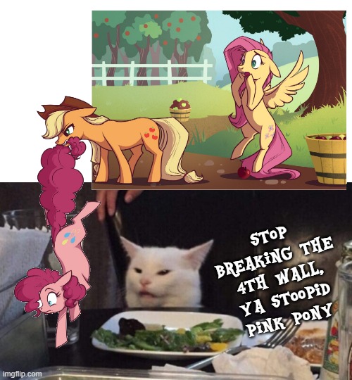 Pinkie 4th walls Smudge | Stop breaking the 4th wall, ya stoopid pink pony | image tagged in smudge the cat,mlp,4th wall | made w/ Imgflip meme maker