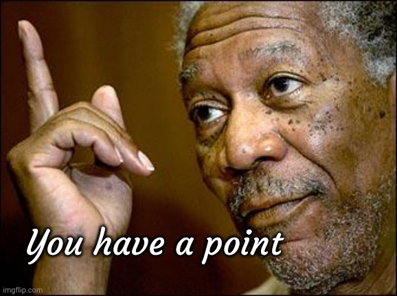 You have a point | image tagged in this morgan freeman | made w/ Imgflip meme maker