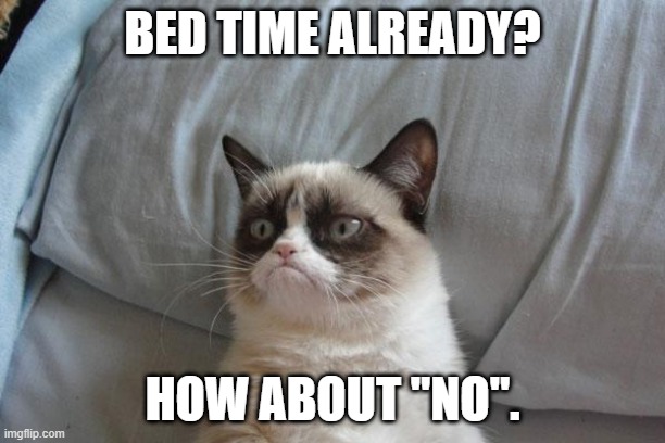 For those who hate going to bed. | BED TIME ALREADY? HOW ABOUT "NO". | image tagged in memes,grumpy cat bed,grumpy cat | made w/ Imgflip meme maker