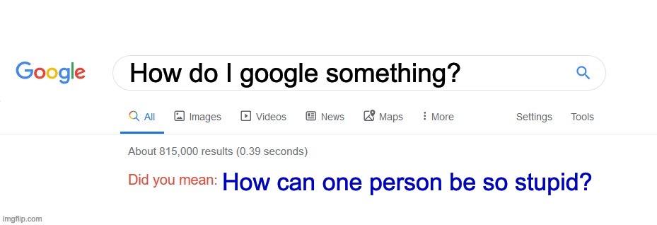 google stupid | How do I google something? How can one person be so stupid? | image tagged in did you mean,google,stupid,how to | made w/ Imgflip meme maker