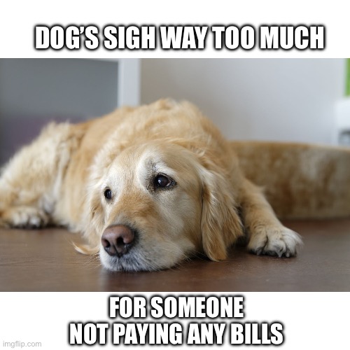 Or responsibilities | DOG’S SIGH WAY TOO MUCH; FOR SOMEONE NOT PAYING ANY BILLS | image tagged in dog sigh,sad,puppy,dog,golden retriever | made w/ Imgflip meme maker