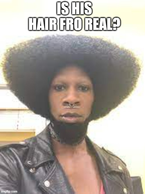 meme by Brad Is he fro real? | IS HIS HAIR FRO REAL? | image tagged in fun,funny,afro,bad hair day,humor,black lives matter | made w/ Imgflip meme maker