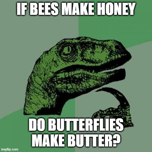 Philosoraptor | IF BEES MAKE HONEY; DO BUTTERFLIES MAKE BUTTER? | image tagged in memes,philosoraptor | made w/ Imgflip meme maker