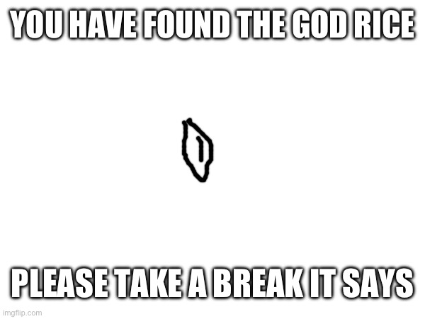 Gasp* the GOD RICE | YOU HAVE FOUND THE GOD RICE; PLEASE TAKE A BREAK IT SAYS | image tagged in asian | made w/ Imgflip meme maker
