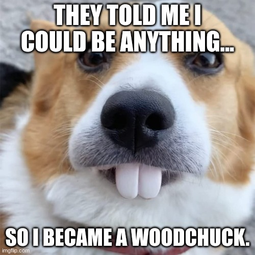 THEY TOLD ME I COULD BE ANYTHING... SO I BECAME A WOODCHUCK. | image tagged in funny,dogs,adorable,fun,popular | made w/ Imgflip meme maker