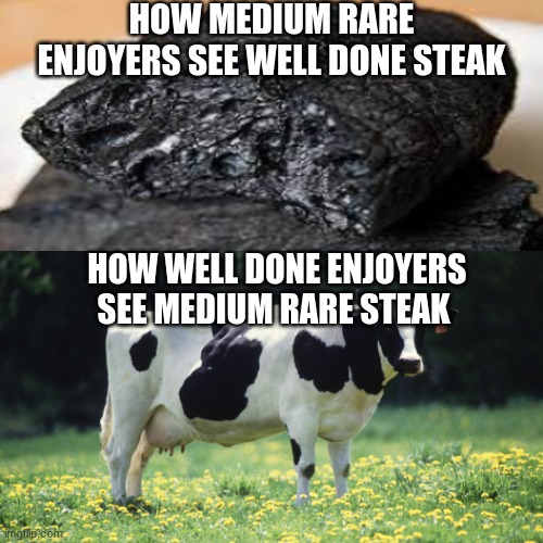 I can still hear the medium rare steak mooing | HOW MEDIUM RARE ENJOYERS SEE WELL DONE STEAK; HOW WELL DONE ENJOYERS SEE MEDIUM RARE STEAK | image tagged in memes,steak,food,random tag i decided to put | made w/ Imgflip meme maker