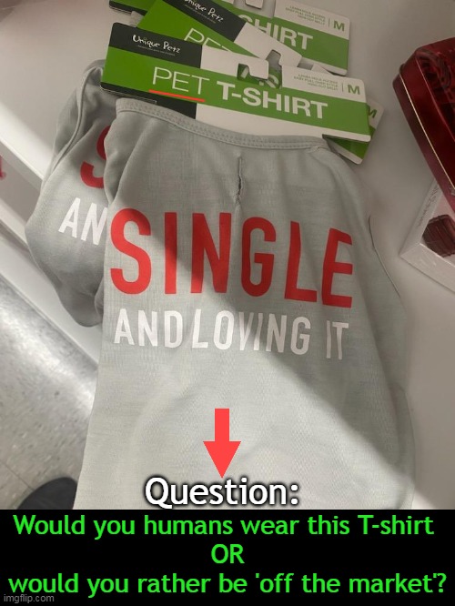 Funny T-shirt, but Serious Question | ___; Question:; Would you humans wear this T-shirt 
OR
would you rather be 'off the market'? | image tagged in fun,imgflip humor,funny,serious,question,single life | made w/ Imgflip meme maker