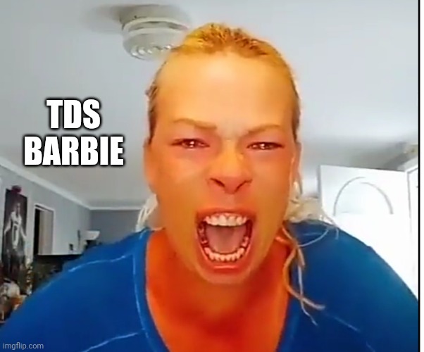 Tds | TDS BARBIE | image tagged in karen | made w/ Imgflip meme maker