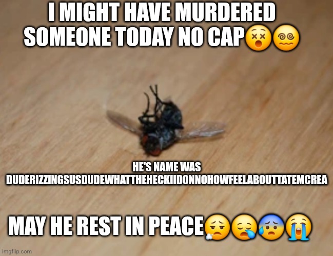 I killed someone | I MIGHT HAVE MURDERED SOMEONE TODAY NO CAP😵😵‍💫; HE'S NAME WAS DUDERIZZINGSUSDUDEWHATTHEHECKIIDONNOHOWFEELABOUTTATEMCREA; MAY HE REST IN PEACE😮‍💨😪😰😭 | image tagged in die,fly,sad but true,cry,please forgive me,i'm sorry | made w/ Imgflip meme maker