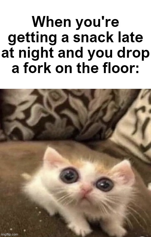 Welp, that woke up the whole house. | When you're getting a snack late at night and you drop a fork on the floor: | image tagged in memes,funny,cats,relatable,animals | made w/ Imgflip meme maker
