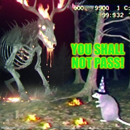 YOU SHALL NOT PASS! | YOU SHALL NOT PASS! | image tagged in you shall not pass,lotr,lord of the rings,gandalf | made w/ Imgflip meme maker