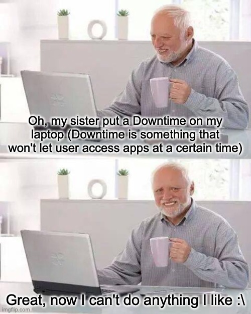 The pain of having an older sibling that acts like a [BLEEP]-ing parent | Oh, my sister put a Downtime on my laptop (Downtime is something that won't let user access apps at a certain time); Great, now I can't do anything I like :\ | image tagged in memes,hide the pain harold | made w/ Imgflip meme maker