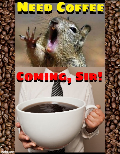 QUICK!  Bring it now! | image tagged in vince vance,coffee,i love coffee,caffeine,memes,coffee addict | made w/ Imgflip meme maker