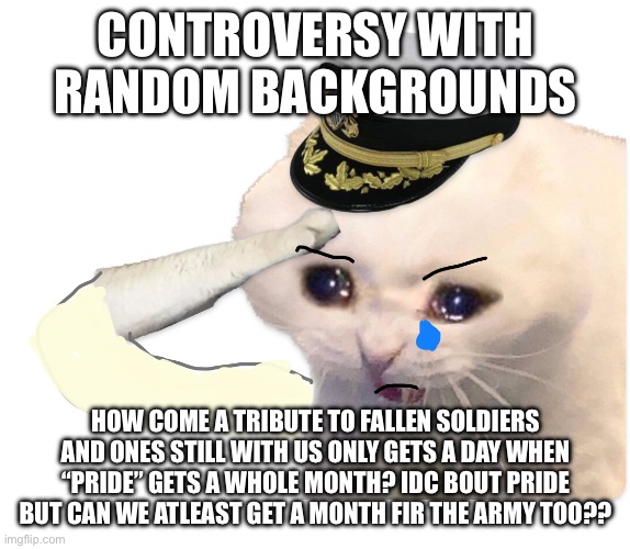 hi, can i order some logic without the BS sauce? | CONTROVERSY WITH RANDOM BACKGROUNDS; HOW COME A TRIBUTE TO FALLEN SOLDIERS AND ONES STILL WITH US ONLY GETS A DAY WHEN “PRIDE” GETS A WHOLE MONTH? IDC BOUT PRIDE BUT CAN WE ATLEAST GET A MONTH FIR THE ARMY TOO?? | image tagged in updated saluting navy cat,army,lgbtq,nonsense | made w/ Imgflip meme maker