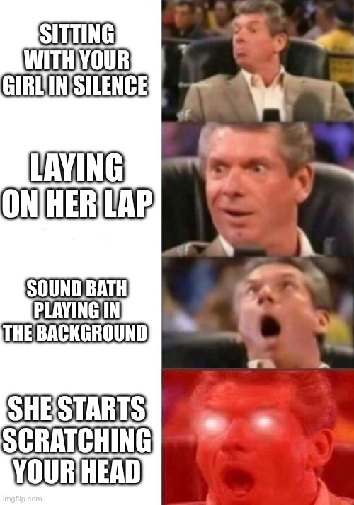 Being with your girl | SITTING WITH YOUR GIRL IN SILENCE; LAYING ON HER LAP; SOUND BATH PLAYING IN THE BACKGROUND; SHE STARTS SCRATCHING YOUR HEAD | image tagged in mr mcmahon reaction | made w/ Imgflip meme maker