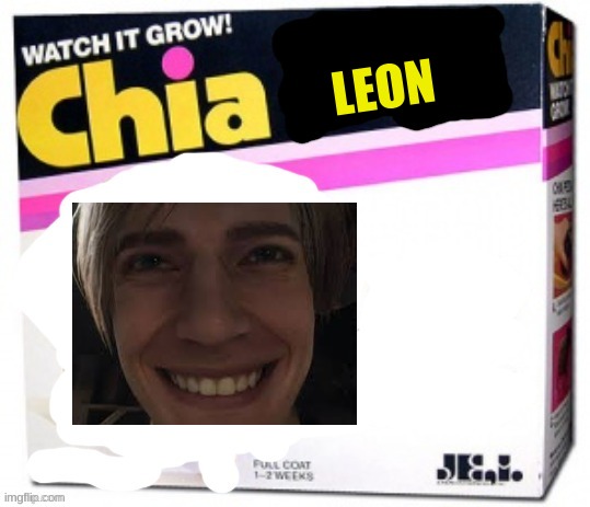 would definitely buy | LEON | image tagged in chia pet blank | made w/ Imgflip meme maker