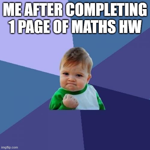 even 1 page of maths is too much | ME AFTER COMPLETING 1 PAGE OF MATHS HW | image tagged in memes,success kid | made w/ Imgflip meme maker
