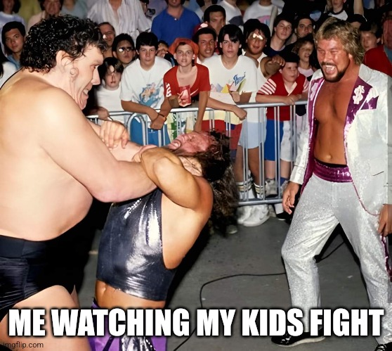Parenting in the 80s | ME WATCHING MY KIDS FIGHT | image tagged in dads,wwf,wwe | made w/ Imgflip meme maker