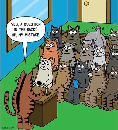 Class act | image tagged in class,cats,question,comics | made w/ Imgflip meme maker