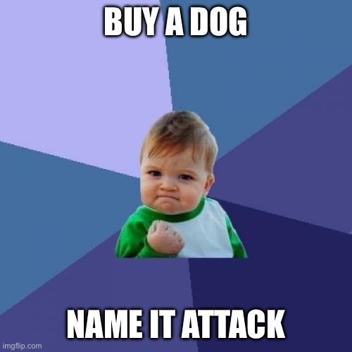 Attack, say hi! | BUY A DOG; NAME IT ATTACK | image tagged in memes,success kid | made w/ Imgflip meme maker