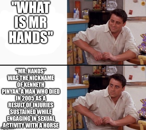 Comprehending Joey | "WHAT IS MR HANDS"; "MR. HANDS" WAS THE NICKNAME OF KENNETH PINYAN, A MAN WHO DIED IN 2005 AS A RESULT OF INJURIES SUSTAINED WHILE ENGAGING IN SEXUAL ACTIVITY WITH A HORSE | image tagged in comprehending joey,wtf,zoophilia,disgusting,weird | made w/ Imgflip meme maker