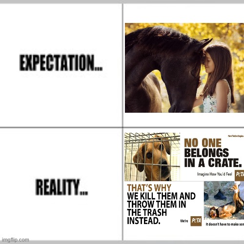 PETA hypocrisy | image tagged in expectation vs reality,sad,animals,hypocrisy,memes | made w/ Imgflip meme maker