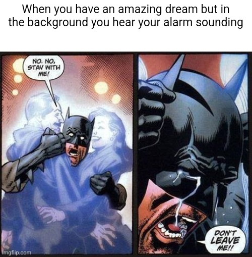 Please nooo | When you have an amazing dream but in the background you hear your alarm sounding | image tagged in batman don't leave me,memes,funny,front page | made w/ Imgflip meme maker