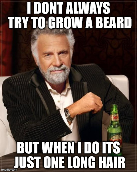 The Most Interesting Man In The World | I DONT ALWAYS TRY TO GROW A BEARD BUT WHEN I DO ITS JUST ONE LONG HAIR | image tagged in memes,the most interesting man in the world,beard | made w/ Imgflip meme maker