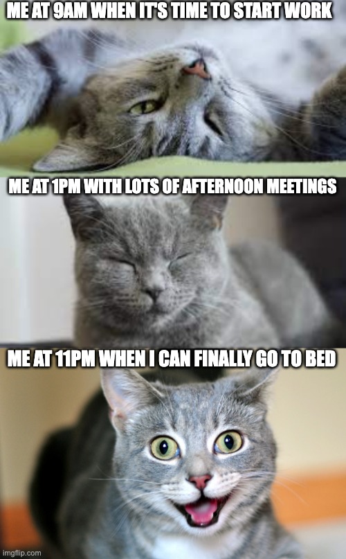 Can't Sleep When I Should | ME AT 9AM WHEN IT'S TIME TO START WORK; ME AT 1PM WITH LOTS OF AFTERNOON MEETINGS; ME AT 11PM WHEN I CAN FINALLY GO TO BED | image tagged in sleep,tired,work,cats,awake,can't sleep | made w/ Imgflip meme maker