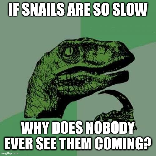 Philosoraptor | IF SNAILS ARE SO SLOW; WHY DOES NOBODY EVER SEE THEM COMING? | image tagged in memes,philosoraptor | made w/ Imgflip meme maker