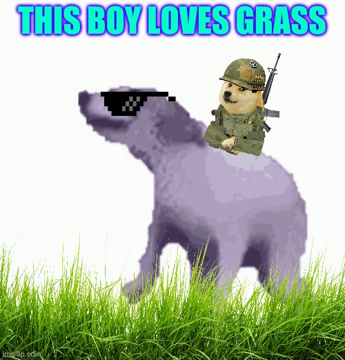This boi loooooooooooooooooves grass | THIS BOY LOVES GRASS | image tagged in dancing dog gif | made w/ Imgflip meme maker