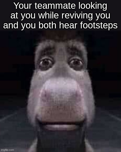 Donkey staring | Your teammate looking at you while reviving you and you both hear footsteps | image tagged in donkey staring,memes,funny,teammate,meme,donkey | made w/ Imgflip meme maker