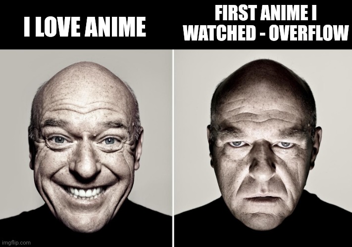 Ohhh that does not make you an anime lover | FIRST ANIME I WATCHED - OVERFLOW; I LOVE ANIME | image tagged in dean norris's reaction,anime,double meaning | made w/ Imgflip meme maker