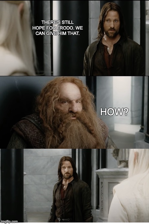 Hope for Frodo | THERE'S STILL HOPE FOR FRODO. WE CAN GIVE HIM THAT. HOW? | image tagged in lotr,aragorn | made w/ Imgflip meme maker