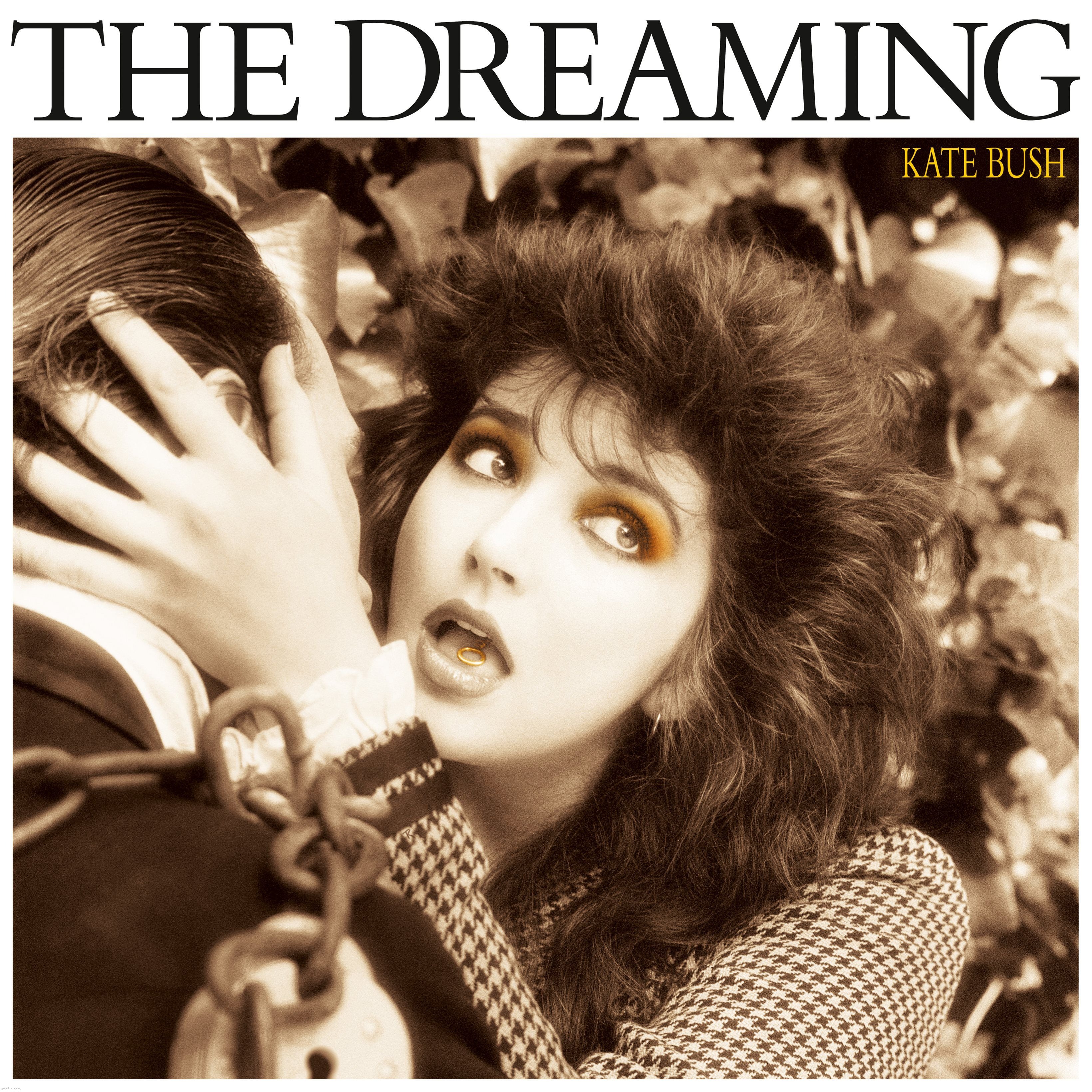 Hardly under the radar, but it was in America | image tagged in kate bush,the dreaming | made w/ Imgflip meme maker