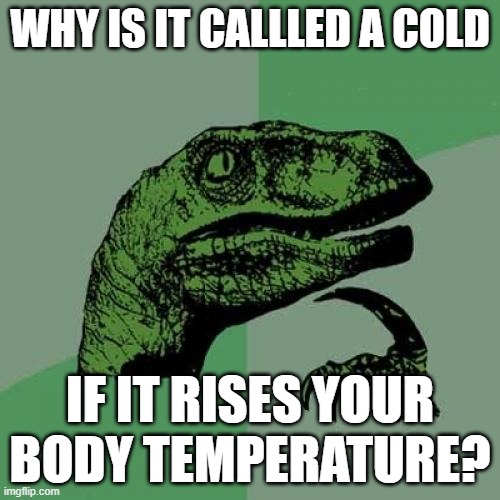 fr | WHY IS IT CALLLED A COLD; IF IT RISES YOUR BODY TEMPERATURE? | image tagged in memes,philosoraptor | made w/ Imgflip meme maker