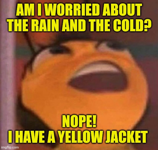 Bee Movie | AM I WORRIED ABOUT THE RAIN AND THE COLD? NOPE!
I HAVE A YELLOW JACKET | image tagged in bee movie | made w/ Imgflip meme maker
