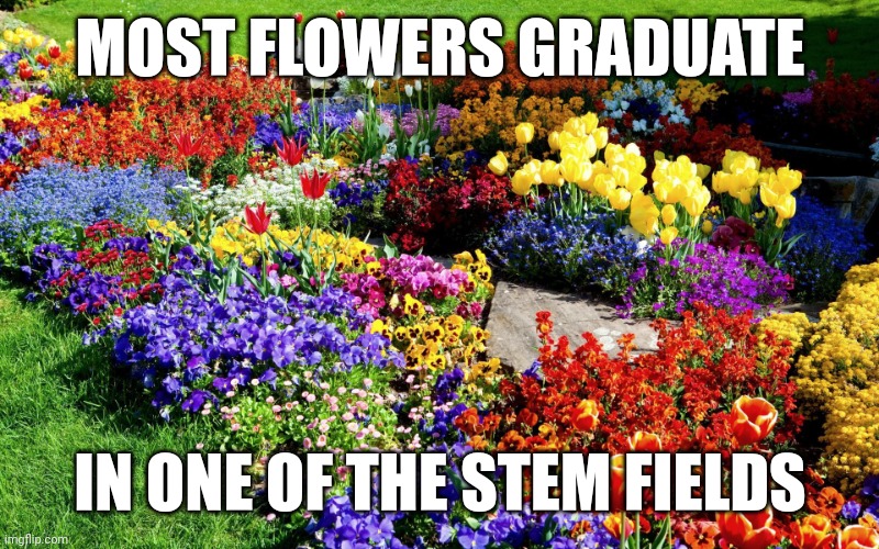 Flower garden  | MOST FLOWERS GRADUATE; IN ONE OF THE STEM FIELDS | image tagged in flower garden | made w/ Imgflip meme maker