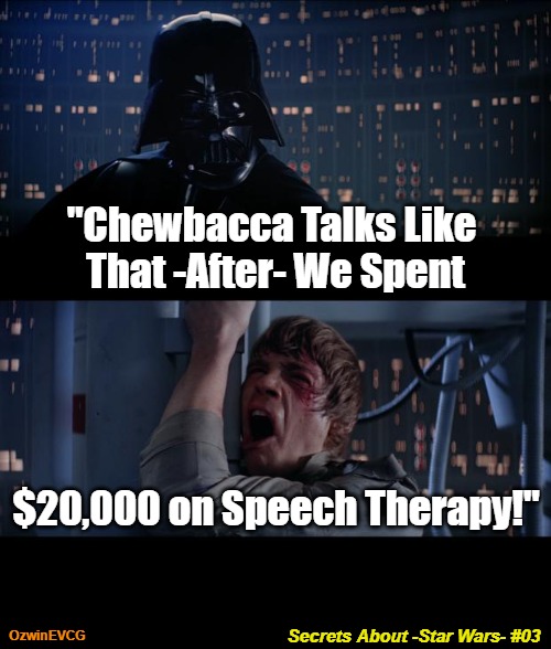 Secrets About -Star Wars- #03 | "Chewbacca Talks Like 
That -After- We Spent; $20,000 on Speech Therapy!"; OzwinEVCG; Secrets About -Star Wars- #03 | image tagged in star wars no,real talk,chewbacca,healthcare,star wars trivia,that awkward secret | made w/ Imgflip meme maker