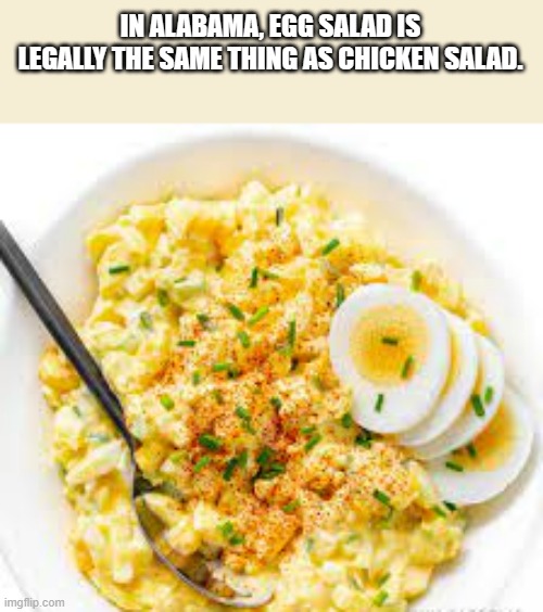 memes by Brad egg salad and chicken salad are the same | IN ALABAMA, EGG SALAD IS LEGALLY THE SAME THING AS CHICKEN SALAD. | image tagged in fun,funny,eggs,chickens,alabama,humor | made w/ Imgflip meme maker