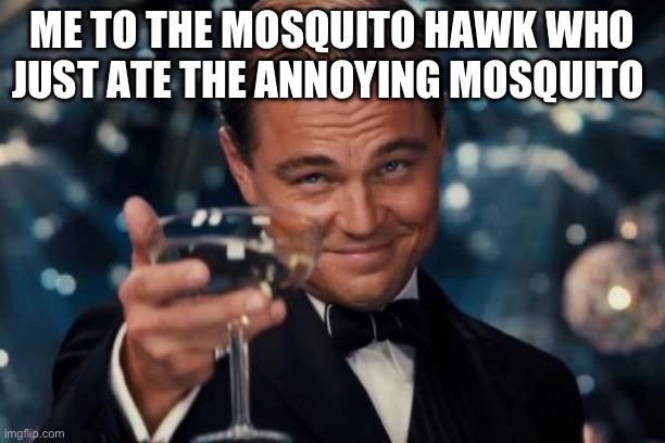 Cheers mate. | ME TO THE MOSQUITO HAWK WHO JUST ATE THE ANNOYING MOSQUITO | image tagged in memes,leonardo dicaprio cheers | made w/ Imgflip meme maker
